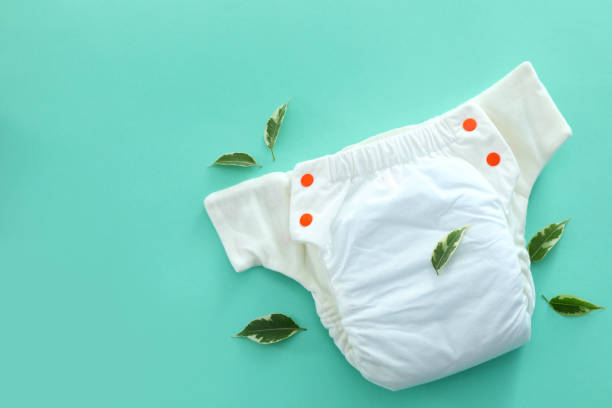 istockphoto 1495253733 612x612 1